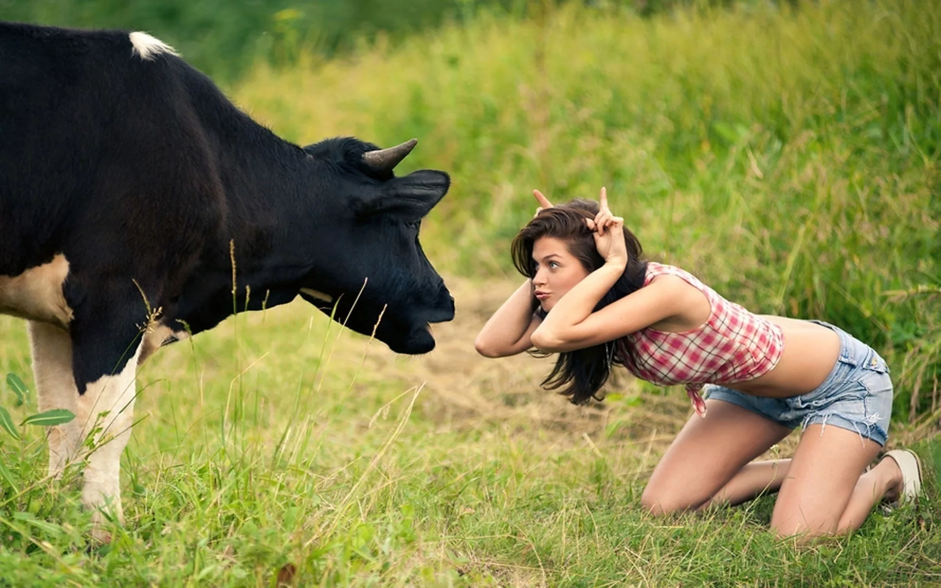 Захватывающая история "Девушка и корова"