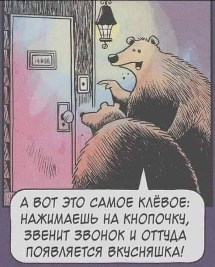 анекдот про медведей