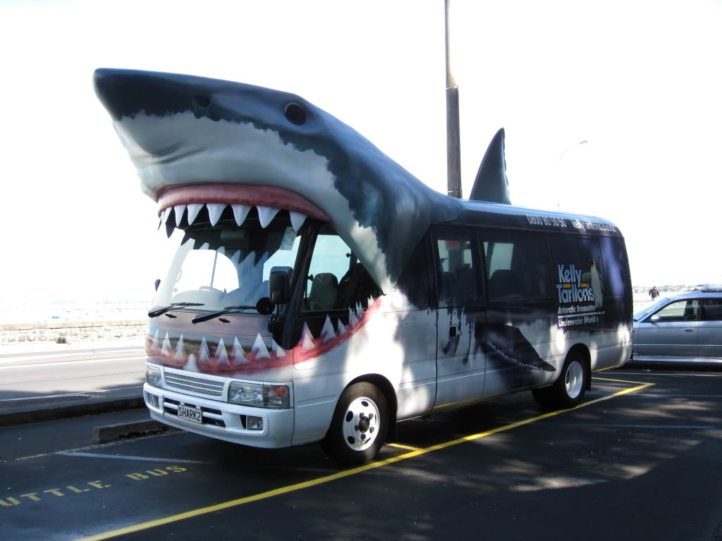 автобус акула